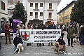 VBS_3880 - Quattordicesimo Raduno Nazionale dei Tabui 2024